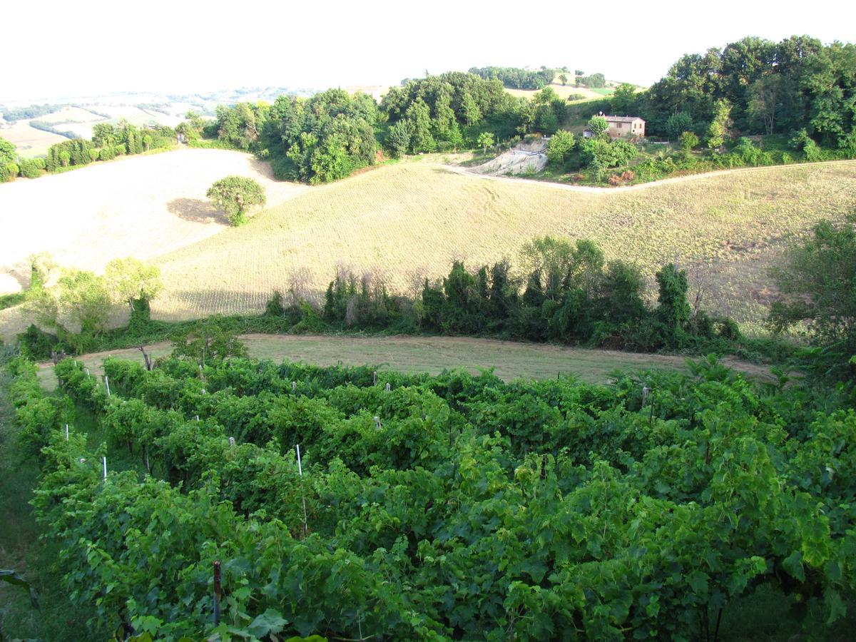 Agriturismo Bacchiocchi Bed & Breakfast Orciano di Pesaro Dış mekan fotoğraf