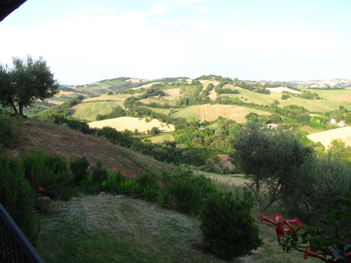 Agriturismo Bacchiocchi Bed & Breakfast Orciano di Pesaro Dış mekan fotoğraf